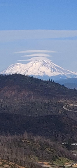 Shasta optimized