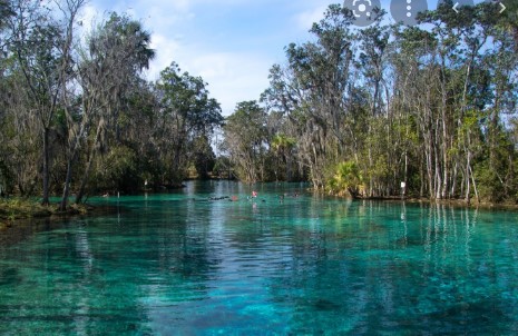Crystal River clip